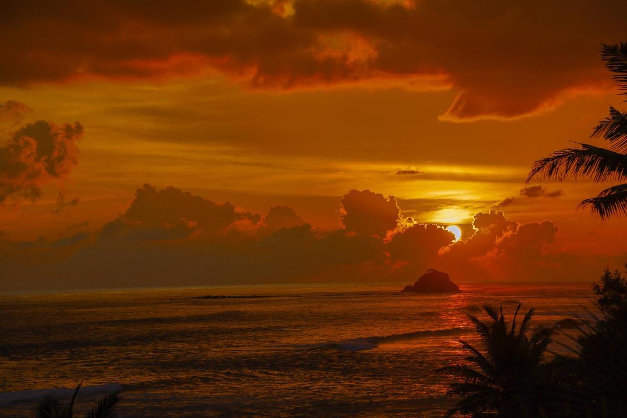 Cozy Cocos Hotel Weligama Exterior foto